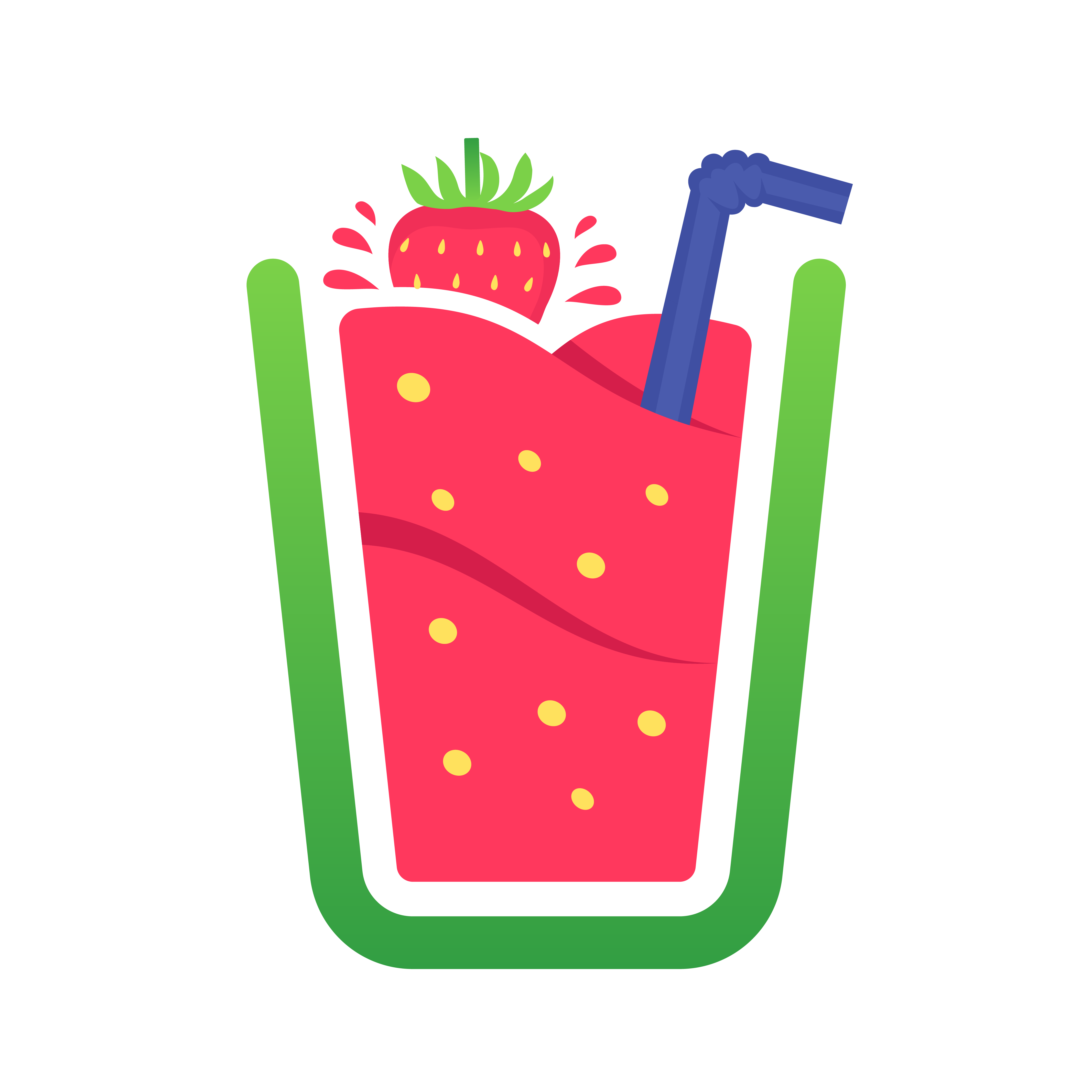 Smoothie Pro icon